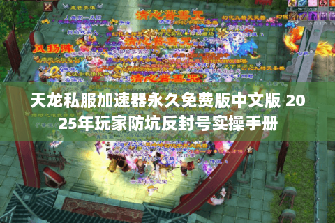 天龙私服加速器永久免费版中文版 2025年玩家防坑反封号实操手册