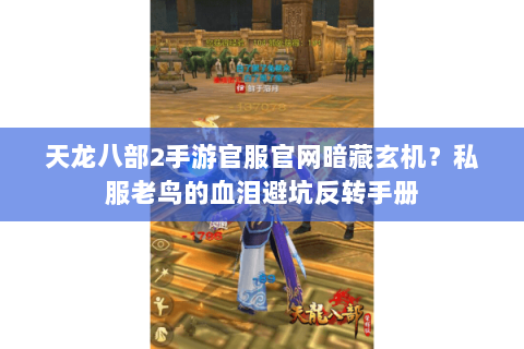 天龙八部2手游官服官网暗藏玄机？私服老鸟的血泪避坑反转手册