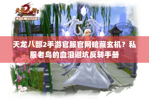 天龙八部2手游官服官网暗藏玄机？私服老鸟的血泪避坑反转手册