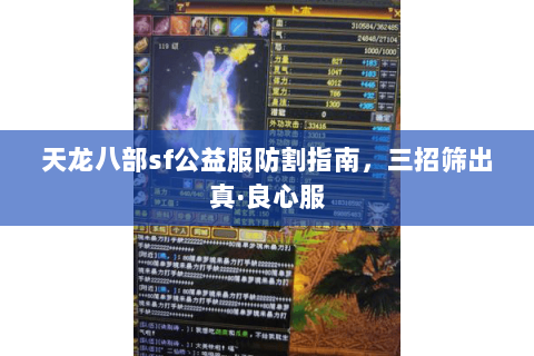 天龙八部sf公益服防割指南，三招筛出真·良心服