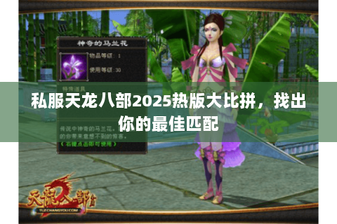 私服天龙八部2025热版大比拼,找出你的最佳匹配 私服天龙八部2025热版大比拼,找出你的最佳匹配
