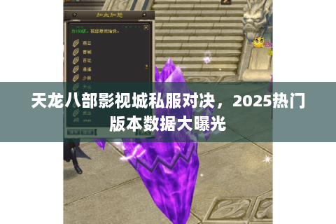 天龙八部影视城私服对决,2025热门版本数据大曝光 天龙八部影视城私服对决,2025热门版本数据大曝光