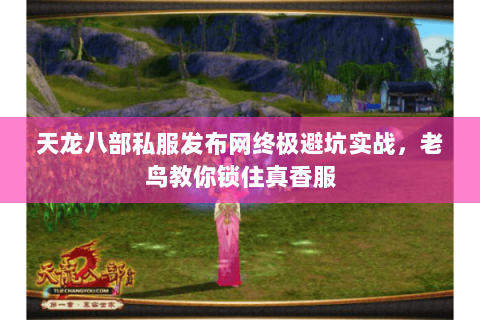 天龙八部私服发布网终极避坑实战,老鸟教你锁住真香服 天龙八部私服发布网终极避坑实战,老鸟教你锁住真香服