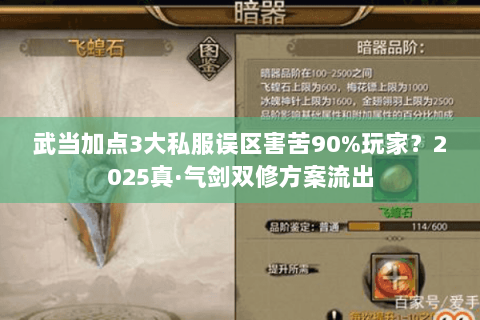 武当加点3大私服误区害苦90%玩家?2025真·气剑双修方案流出 武当加点3大私服误区害苦90%玩家?2025真·气剑双修方案流出