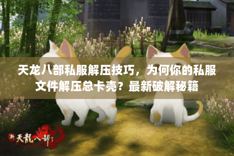 天龙八部私服解压技巧，为何你的私服文件解压总卡壳？最新破解秘籍