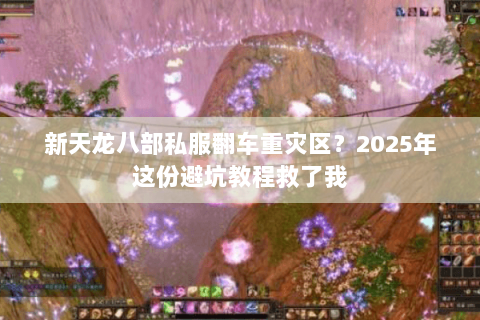 新天龙八部私服翻车重灾区？2025年这份避坑教程救了我