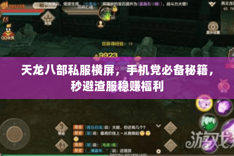 天龙八部私服横屏，手机党必备秘籍，秒避渣服稳赚福利