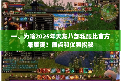 一、为啥2025年天龙八部私服比官方服更爽?痛点和优势揭秘 一、为啥2025年天龙八部私服比官方服更爽?痛点和优势揭秘