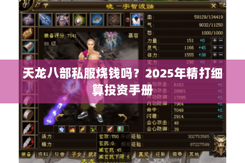 天龙八部私服烧钱吗?2025年精打细算投资手册 天龙八部私服烧钱吗?2025年精打细算投资手册