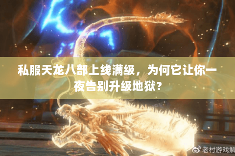 私服天龙八部上线满级,为何它让你一夜告别升级地狱? 私服天龙八部上线满级,为何它让你一夜告别升级地狱?