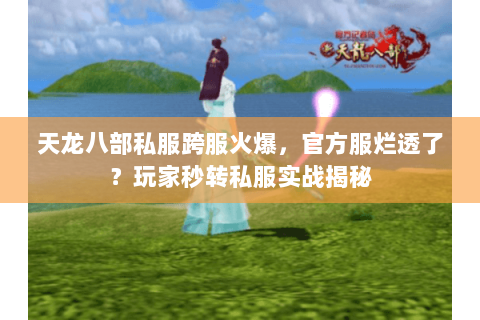 天龙八部私服跨服火爆,官方服烂透了?玩家秒转私服实战揭秘 天龙八部私服跨服火爆,官方服烂透了?玩家秒转私服实战揭秘