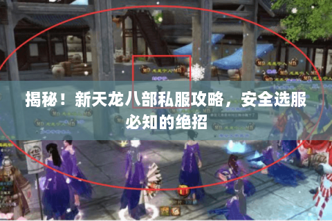 揭秘！新天龙八部私服攻略，安全选服必知的绝招