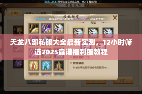 天龙八部私服大全最新实测,12小时筛选2025靠谱福利服教程 天龙八部私服大全最新实测,12小时筛选2025靠谱福利服教程