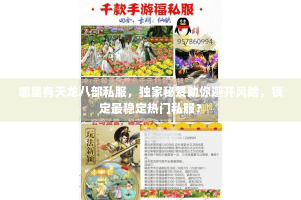 哪里有天龙八部私服，独家秘笈助你避开风险，锁定最稳定热门私服？
