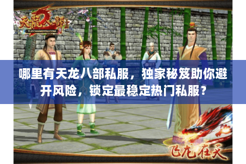 哪里有天龙八部私服，独家秘笈助你避开风险，锁定最稳定热门私服？