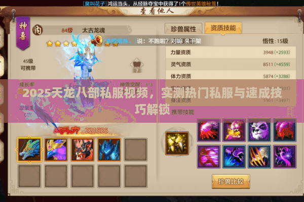 2025天龙八部私服视频,实测热门私服与速成技巧解锁 2025天龙八部私服视频,实测热门私服与速成技巧解锁