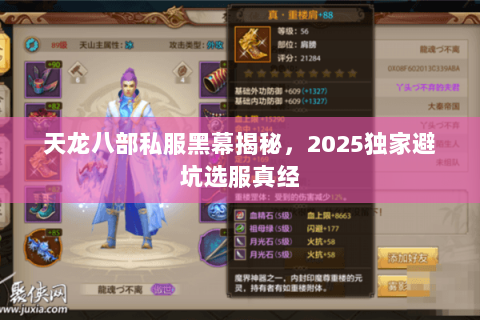 天龙八部私服黑幕揭秘，2025独家避坑选服真经
