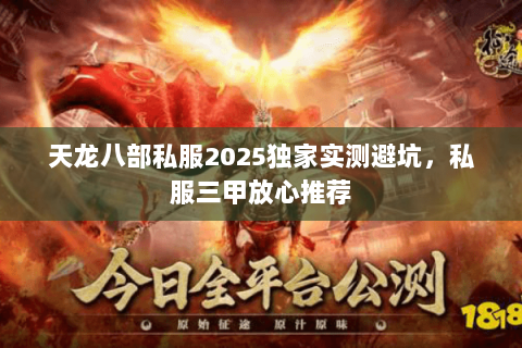 天龙八部私服2025独家实测避坑，私服三甲放心推荐