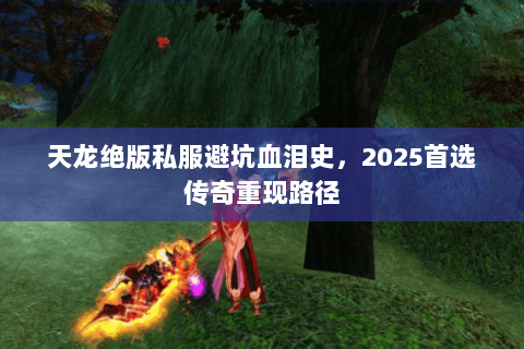 天龙绝版私服避坑血泪史,2025首选传奇重现路径 天龙绝版私服避坑血泪史,2025首选传奇重现路径