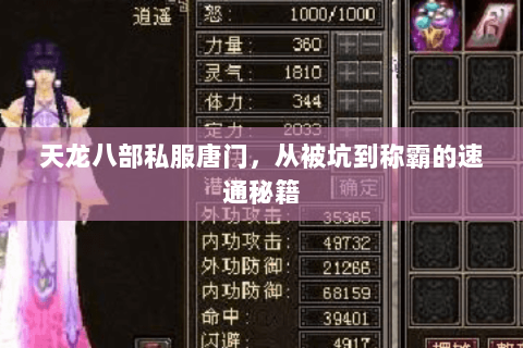 天龙八部私服唐门,从被坑到称霸的速通秘籍 天龙八部私服唐门,从被坑到称霸的速通秘籍