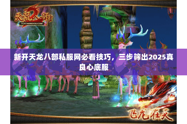 新开天龙八部私服网必看技巧,三步筛出2025真良心底服 新开天龙八部私服网必看技巧,三步筛出2025真良心底服