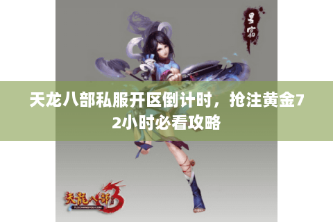 天龙八部私服开区倒计时,抢注黄金72小时必看攻略 天龙八部私服开区倒计时,抢注黄金72小时必看攻略