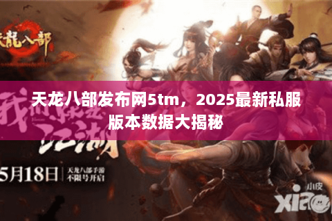 天龙八部发布网5tm,2025最新私服版本数据大揭秘 天龙八部发布网5tm,2025最新私服版本数据大揭秘