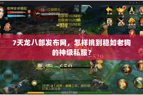 7天龙八部发布网，怎样挑到稳如老狗的神级私服？