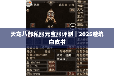 天龙八部私服元宝服评测|2025避坑白皮书 天龙八部私服元宝服评测|2025避坑白皮书