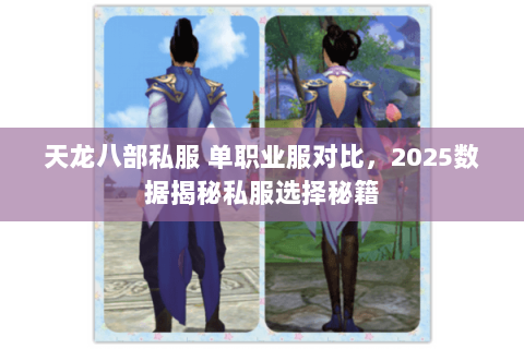 天龙八部私服 单职业服对比,2025数据揭秘私服选择秘籍 天龙八部私服 单职业服对比,2025数据揭秘私服选择秘籍