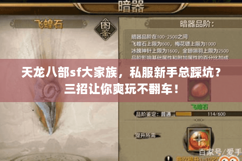 天龙八部sf大家族,私服新手总踩坑?三招让你爽玩不翻车! 天龙八部sf大家族,私服新手总踩坑?三招让你爽玩不翻车!