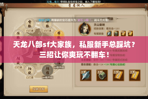 天龙八部sf大家族,私服新手总踩坑?三招让你爽玩不翻车! 天龙八部sf大家族,私服新手总踩坑?三招让你爽玩不翻车!