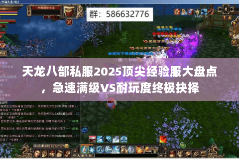天龙八部私服2025顶尖经验服大盘点,急速满级VS耐玩度终极抉择 天龙八部私服2025顶尖经验服大盘点,急速满级VS耐玩度终极抉择