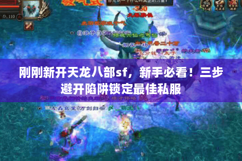 刚刚新开天龙八部sf，新手必看！三步避开陷阱锁定最佳私服