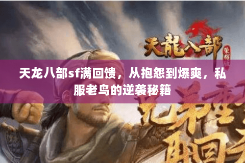 天龙八部sf满回馈，从抱怨到爆爽，私服老鸟的逆袭秘籍
