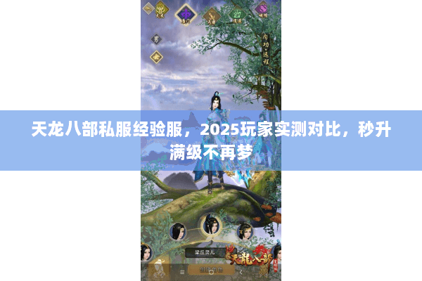 天龙八部私服经验服，2025玩家实测对比，秒升满级不再梦