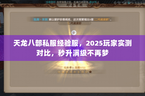 天龙八部私服经验服，2025玩家实测对比，秒升满级不再梦