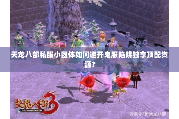 天龙八部私服小团体如何避开鬼服陷阱独享顶配资源? 天龙八部私服小团体如何避开鬼服陷阱独享顶配资源?
