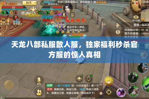 天龙八部私服散人服,独家福利秒杀官方服的惊人真相 天龙八部私服散人服,独家福利秒杀官方服的惊人真相