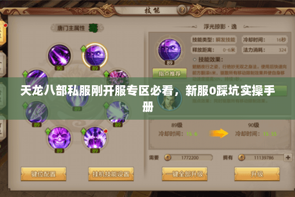 天龙八部私服刚开服专区必看,新服0踩坑实操手册 天龙八部私服刚开服专区必看,新服0踩坑实操手册