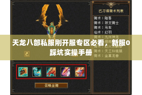 天龙八部私服刚开服专区必看,新服0踩坑实操手册 天龙八部私服刚开服专区必看,新服0踩坑实操手册