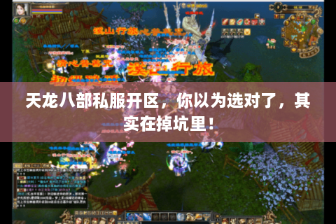 天龙八部私服开区,你以为选对了,其实在掉坑里! 天龙八部私服开区,你以为选对了,其实在掉坑里!
