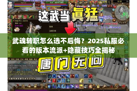 武魂转职怎么选不后悔?2025私服必看的版本流派+隐藏技巧全揭秘 武魂转职怎么选不后悔?2025私服必看的版本流派+隐藏技巧全揭秘