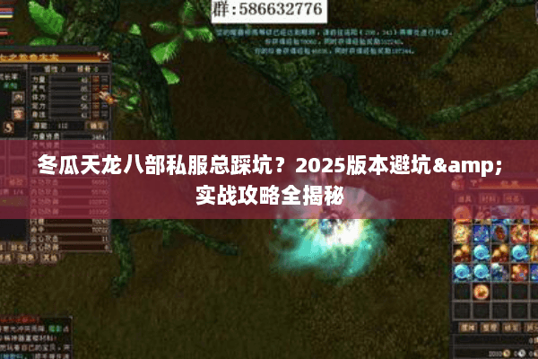 冬瓜天龙八部私服总踩坑？2025版本避坑&实战攻略全揭秘