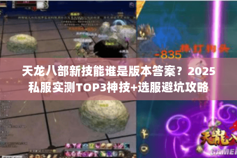 天龙八部新技能谁是版本答案?2025私服实测TOP3神技+选服避坑攻略 天龙八部新技能谁是版本答案?2025私服实测TOP3神技+选服避坑攻略