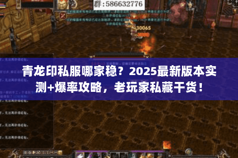青龙印私服哪家稳?2025最新版本实测+爆率攻略,老玩家私藏干货! 青龙印私服哪家稳?2025最新版本实测+爆率攻略,老玩家私藏干货!
