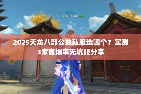2025天龙八部公益私服选哪个？实测3家高爆率无坑服分享