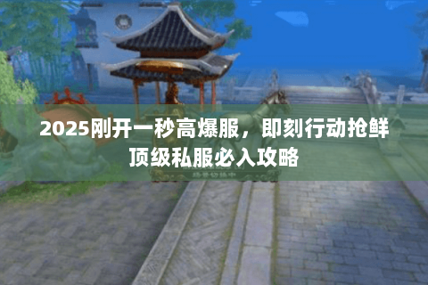 2025刚开一秒高爆服,即刻行动抢鲜顶级私服必入攻略 2025刚开一秒高爆服,即刻行动抢鲜顶级私服必入攻略