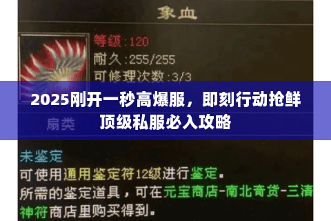 2025刚开一秒高爆服,即刻行动抢鲜顶级私服必入攻略 2025刚开一秒高爆服,即刻行动抢鲜顶级私服必入攻略