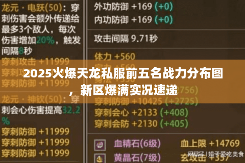 2025火爆天龙私服前五名战力分布图,新区爆满实况速递 2025火爆天龙私服前五名战力分布图,新区爆满实况速递